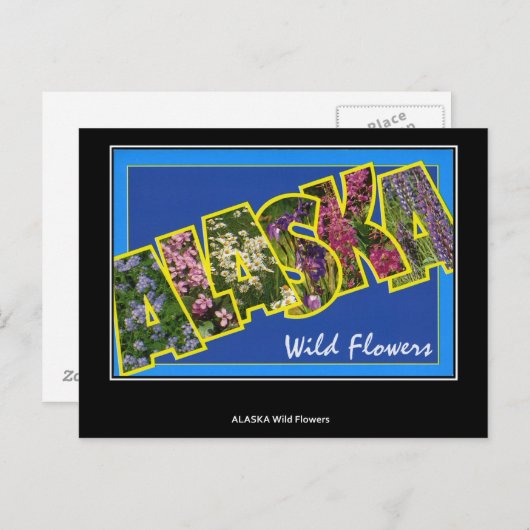 アラスカヴィンテージ葉書からの挨拶 ポストカード (正面/裏面)