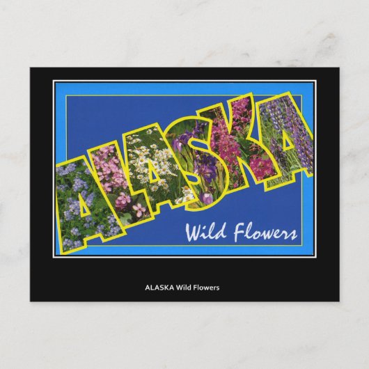 アラスカヴィンテージ葉書からの挨拶 ポストカード (正面)