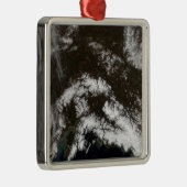 アラスカ中南部の雪 メタルオーナメント (右)