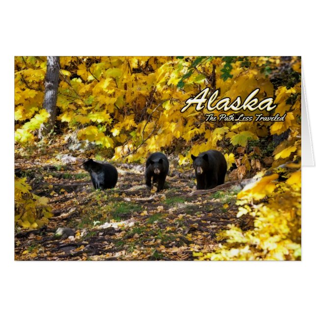 アラスカ低旅の道 (正面横)