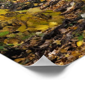 アラスカ低旅の道 ポスター (角)