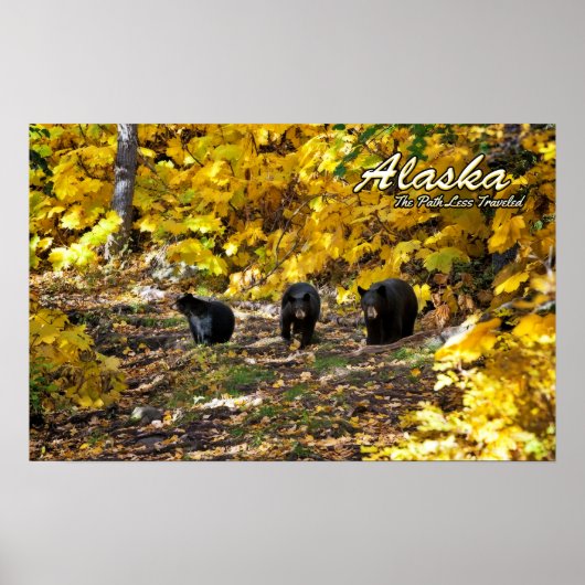 アラスカ低旅の道 ポスター (正面)