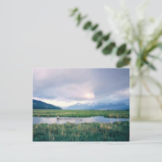 アラスカ保護区 ポストカード (スタンド正面)