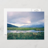 アラスカ保護区 ポストカード (正面/裏面)