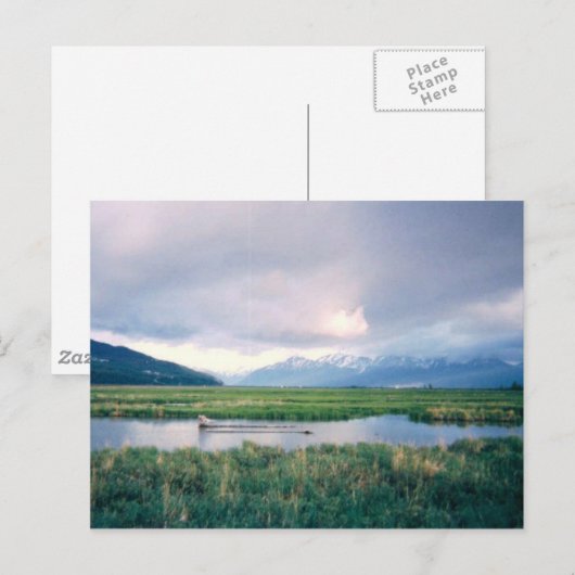 アラスカ保護区 ポストカード (正面/裏面)