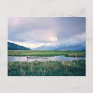 アラスカ保護区 ポストカード