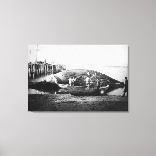 アラスカ写真でブルークジラを切り取る キャンバスプリント (正面)