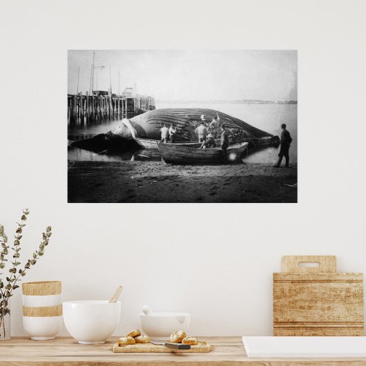 アラスカ写真でブルークジラを切り取る ポスター (キッチン)