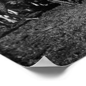 アラスカ写真のトナカイの群れ ポスター (角)