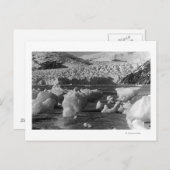 アラスカ写真ジュノー付近のタク氷河 ポストカード (正面/裏面)