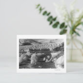 アラスカ写真ジュノー付近のタク氷河 ポストカード (スタンド正面)