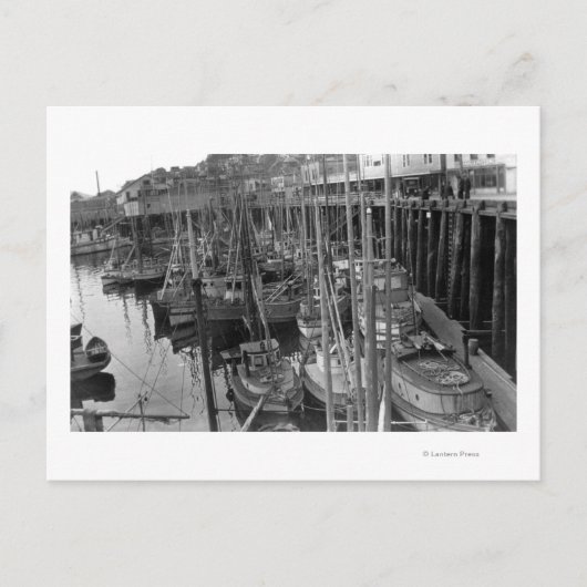 アラスカ写真、ケチカンのトローリング艦隊 ポストカード (正面)