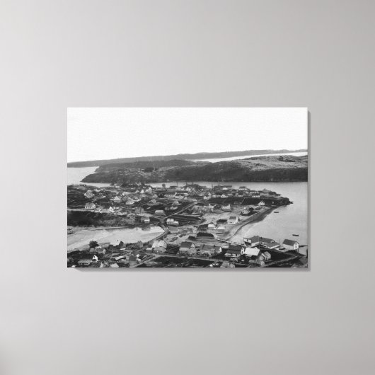 アラスカ写真、コディアックの空中写真 キャンバスプリント (正面)