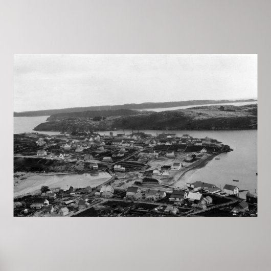 アラスカ写真、コディアックの空中写真 ポスター (正面)