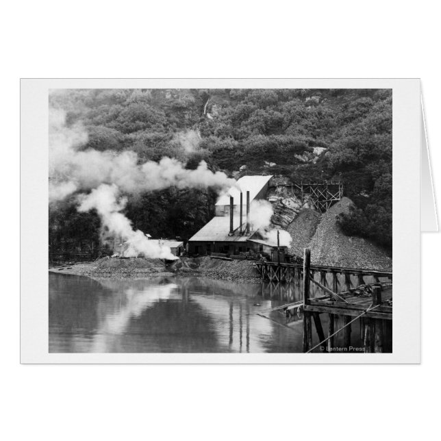 アラスカ写真，バルデスの金ゴールド鉱山 (正面横)