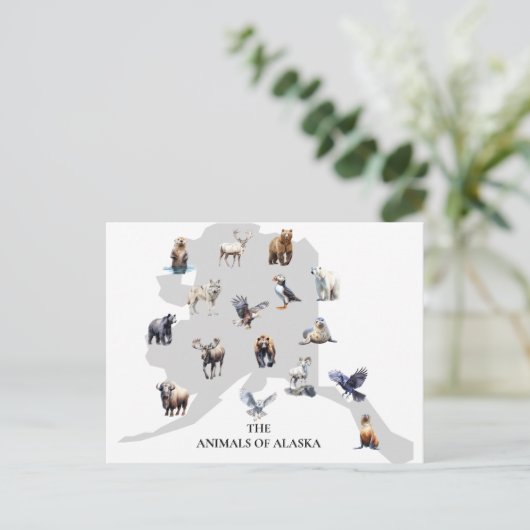 アラスカ北アメリカの動物 ポストカード (スタンド正面)