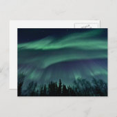 アラスカ北部のライト(ZTD) ポストカード (正面/裏面)