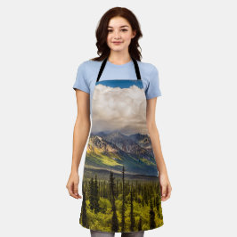 アラスカ南中部マタヌスカバレー#2 エプロン
