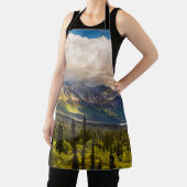 アラスカ南中部マタヌスカバレー#2 エプロン (インサイチュ)