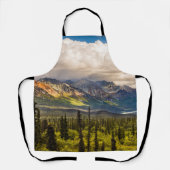 アラスカ南中部マタヌスカバレー#2 エプロン (正面)