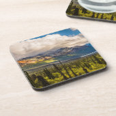 アラスカ南中部マタヌスカバレー#2 コースター (左側)