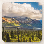 アラスカ南中部マタヌスカバレー#2 コースター (正面)