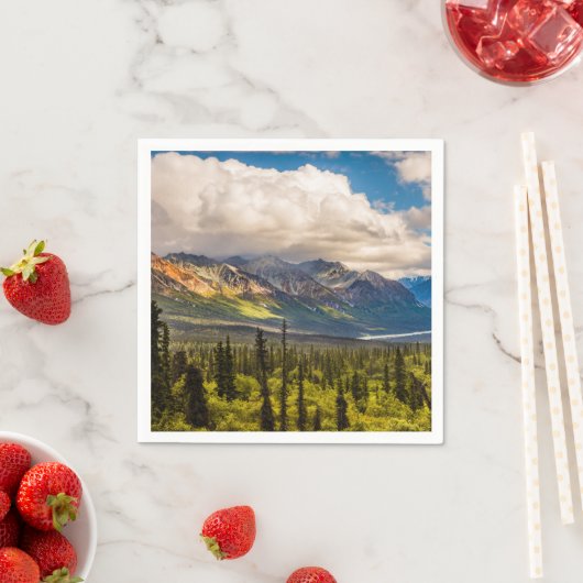 アラスカ南中部マタヌスカバレー#2 スタンダードカクテルナプキン (インサイチュ)