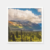 アラスカ南中部マタヌスカバレー#2 スタンダードカクテルナプキン (正面)