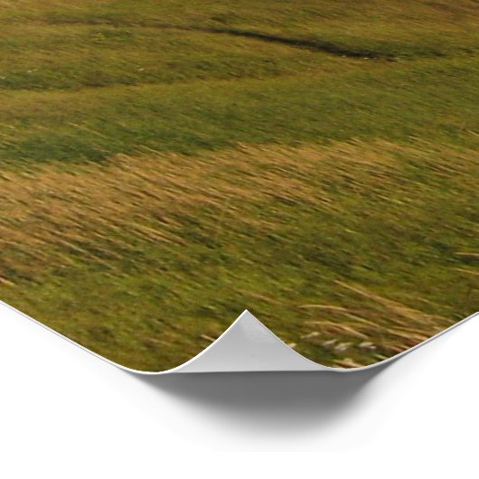 アラスカ回転腕 ポスター (角)