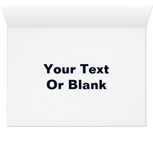 アラスカ天水氷河 (内部横(下))