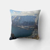 アラスカ山脈と下の都市 クッション (裏面)