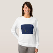 アラスカ州の旗 Tシャツ (正面フル)