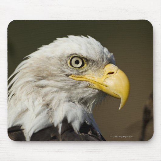 アラスカ州カトマイ国立公園 マウスパッド (正面)