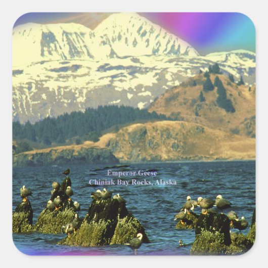 アラスカ州チニーク近郊チニーク湾のゲーゼ皇帝 スクエアシール (正面)