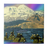 アラスカ州チニーク近郊チニーク湾のゲーゼ皇帝 タイル (正面)