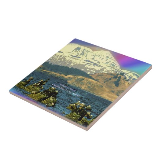 アラスカ州チニーク近郊チニーク湾のゲーゼ皇帝 タイル (側面)