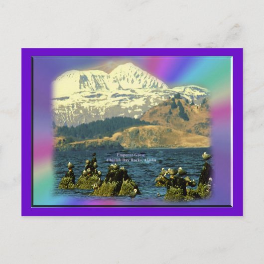 アラスカ州チニーク近郊チニーク湾のゲーゼ皇帝 ポストカード (正面)