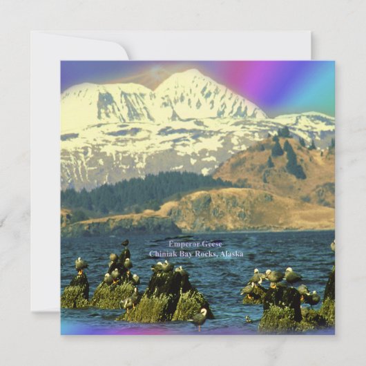 アラスカ州チニーク近郊チニーク湾のゲーゼ皇帝 招待状 (正面)