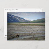 アラスカ州デナリ国立公園と保護区 ポストカード (正面/裏面)