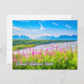 アラスカ州デナリ国立公園と保護区 ポストカード (正面/裏面)