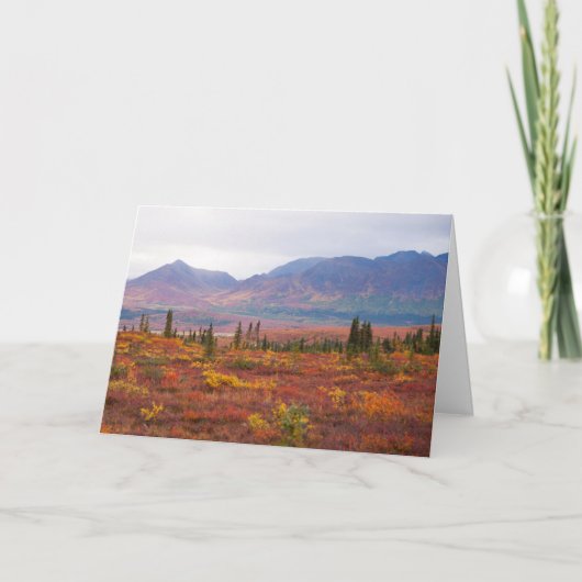アラスカ州デナリ国立公園の紅葉 カード (正面)