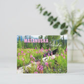 アラスカ州マタヌスカバレーに咲く雑草 ポストカード (スタンド正面)