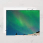 アラスカ州北部の干ばつ ポストカード (正面/裏面)