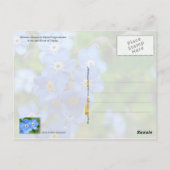 アラスカ州忘れ花:-me-not ポストカード (裏面)