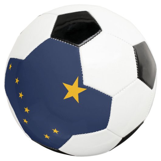 アラスカ州旗の動的グラフィック サッカーボール (3/4)