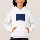 アラスカ州旗 (正面)