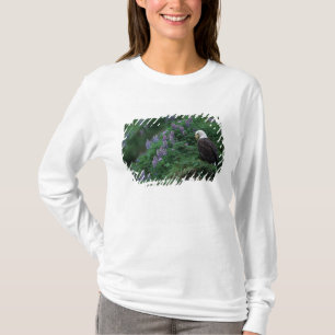 アラスカ州、ウナラスカ島 ハクトウワシとノートカ ルピナ Tシャツ