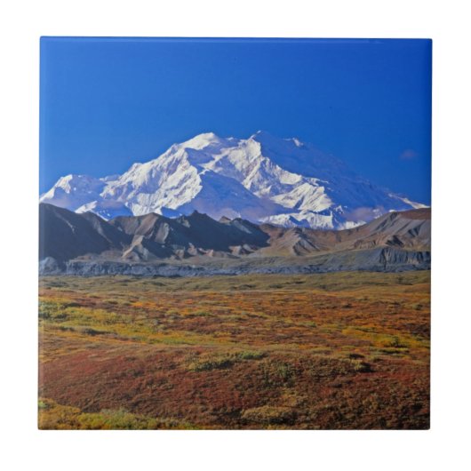 アラスカ州 デナリ国立公園 マッキンリー山 タイル (正面)
