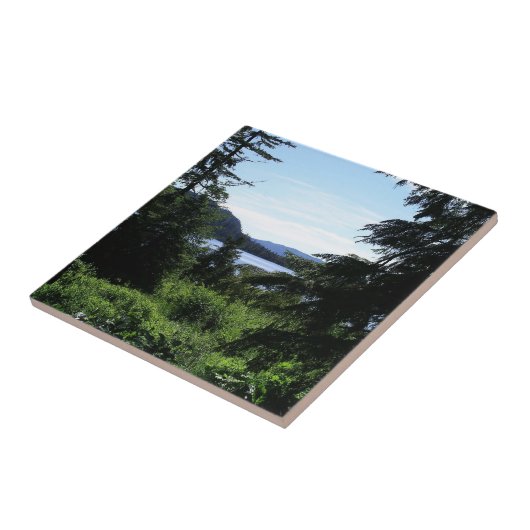 アラスカ景観美しいアラスカ写真 タイル (側面)