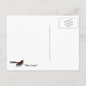 アラスカ景観美しいアラスカ写真 ポストカード (裏面)